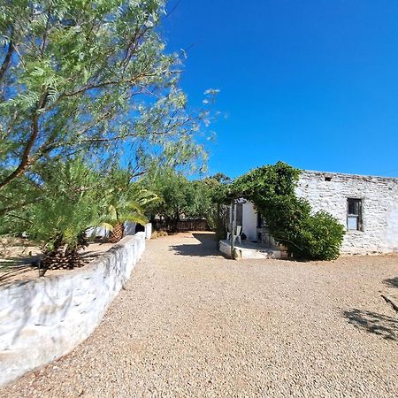 Olive Grove Cottage Koringberg Экстерьер фото