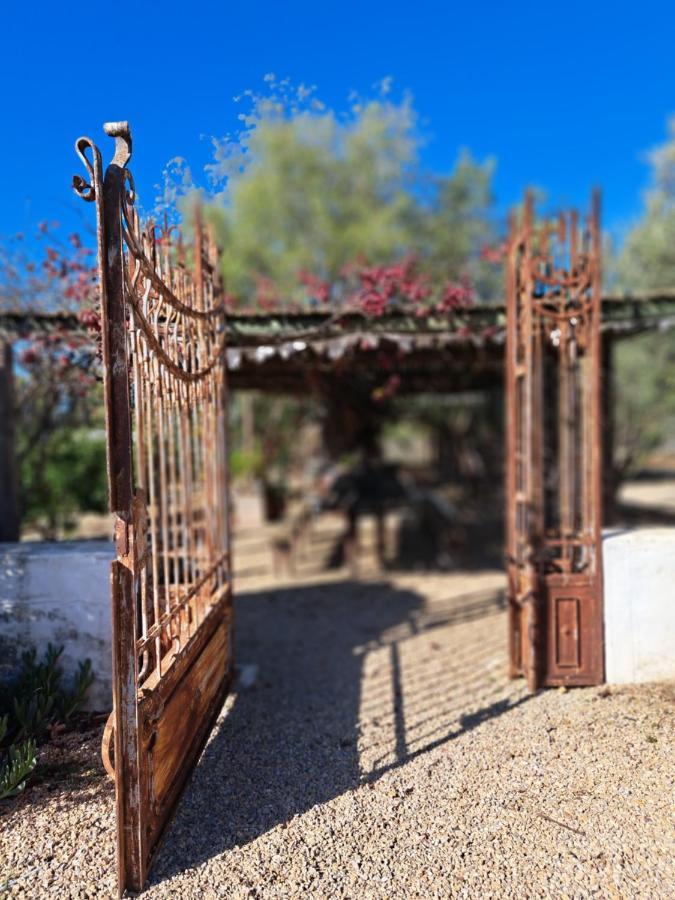 Olive Grove Cottage Koringberg Экстерьер фото